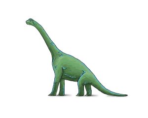 Green Brachiosaurus herbivore dinosaur on white background