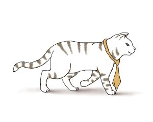 Orange Tabby Cat with Necktie on white background