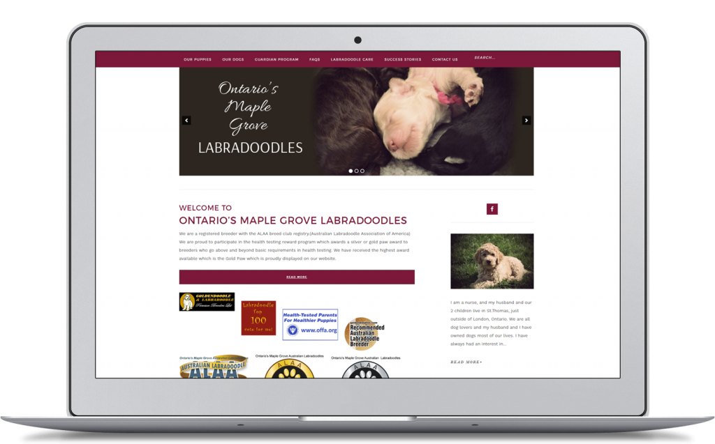 Computer screen with homepage of Ontario Maple Grove Labradoodles wordpress website