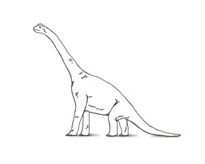 Black and white Brachiosaurus herbivore dinosaur on white background